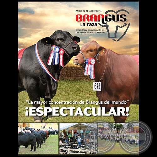 REVISTA BRANGUS - AÑO III - NÚMERO 12 - AGOSTO 2016